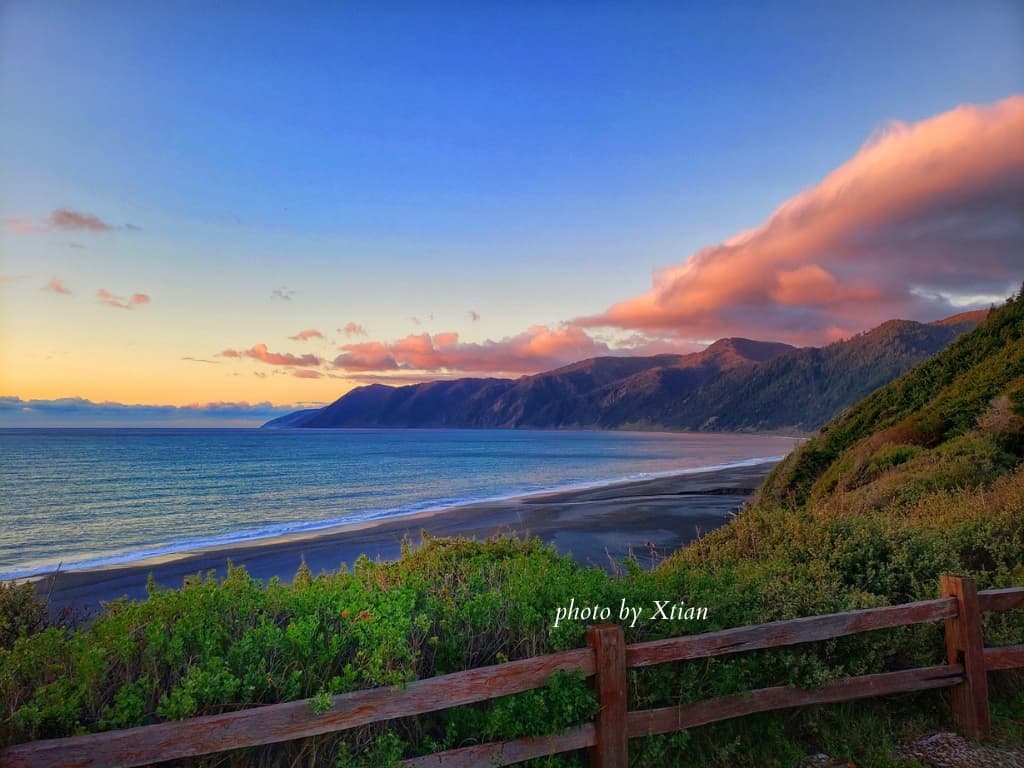 Misty Coastline